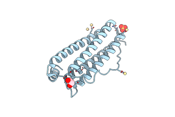 6MSX image