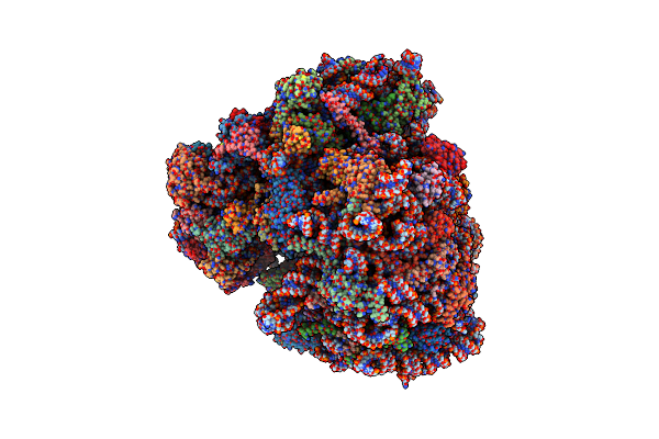 6MTE image