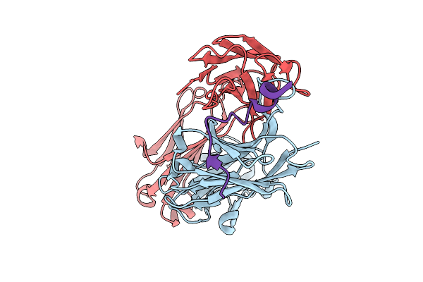 6MTT image