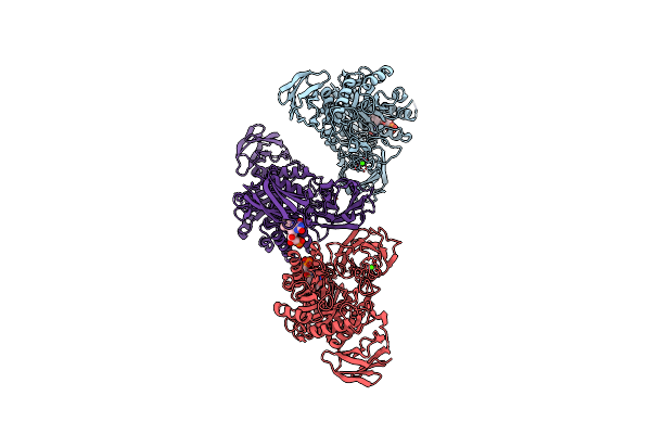 6MVG image