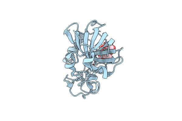 6MVJ image