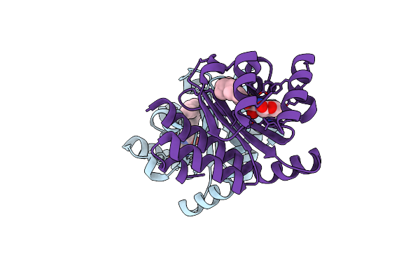 6MVM image