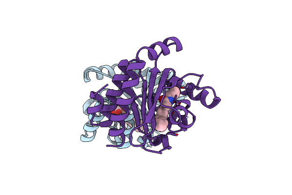 6MVN image