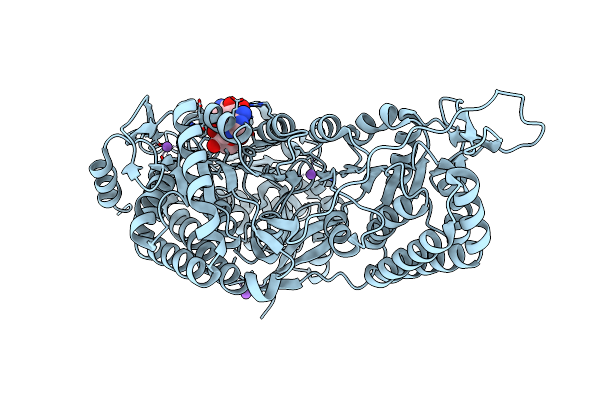 6MVT image