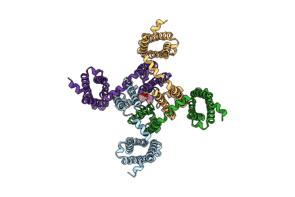 6MVX image