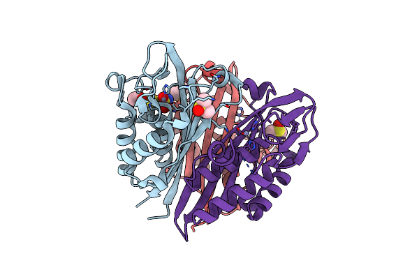 6MWJ image