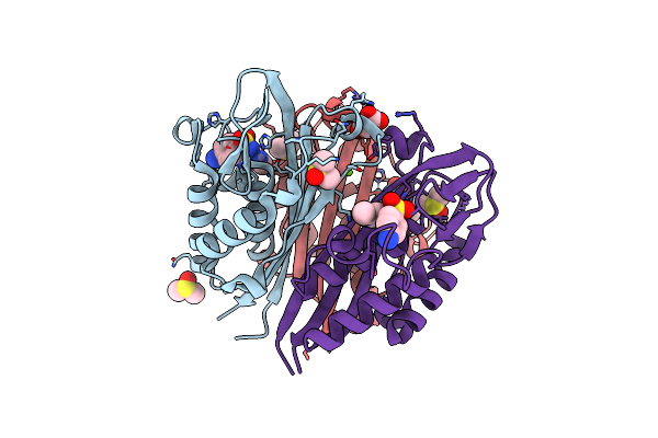 6MWK image