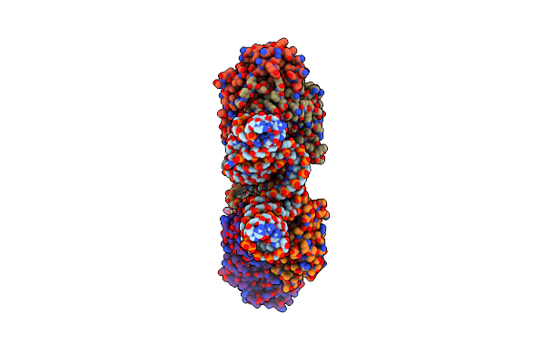 6MWN image