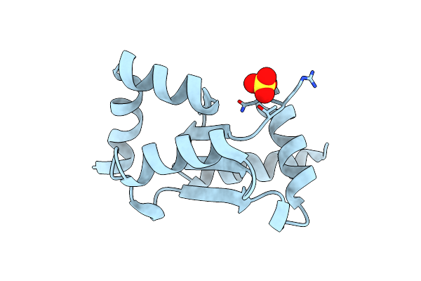 6MWS image