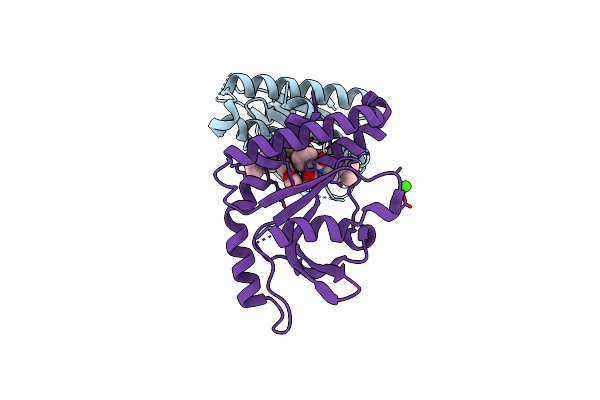 6MX3 image