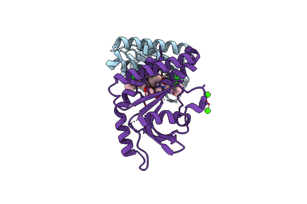 6MXE image