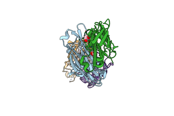 6MXS image