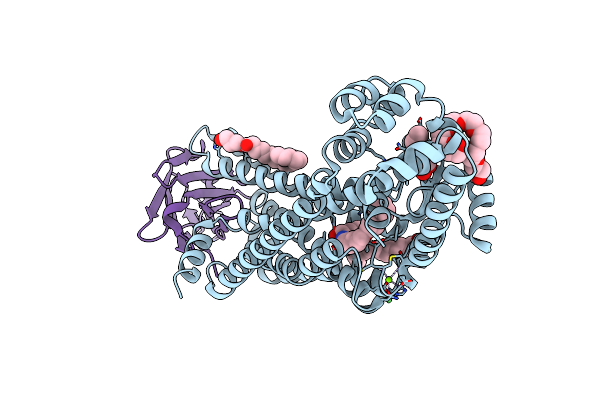 6MXT image