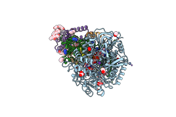 6MYO image