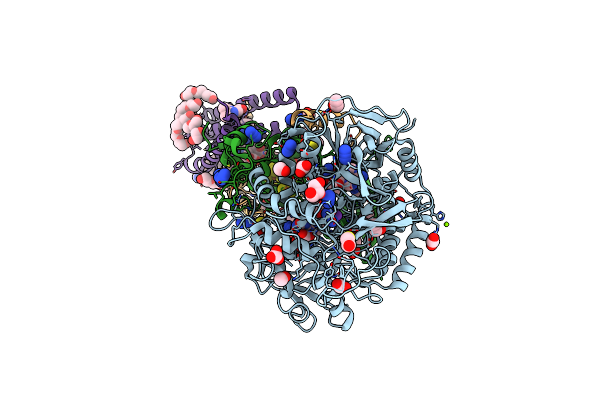 6MYP image