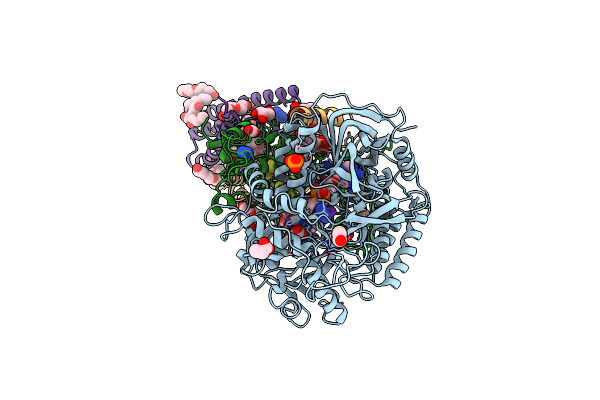 6MYR image