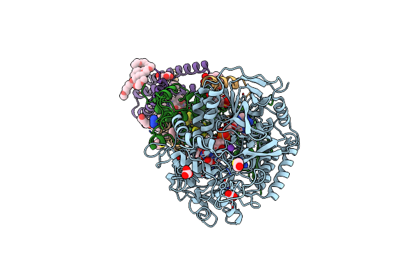 6MYS image