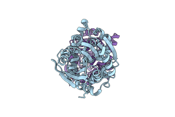 6MZZ image