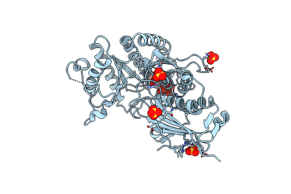6N10 image