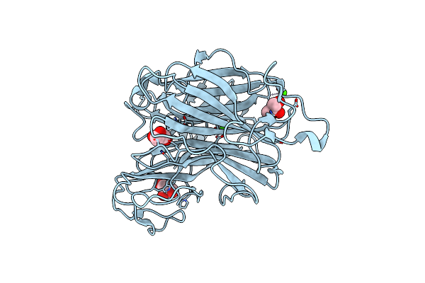 6N1A image