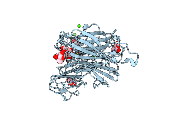 6N1B image