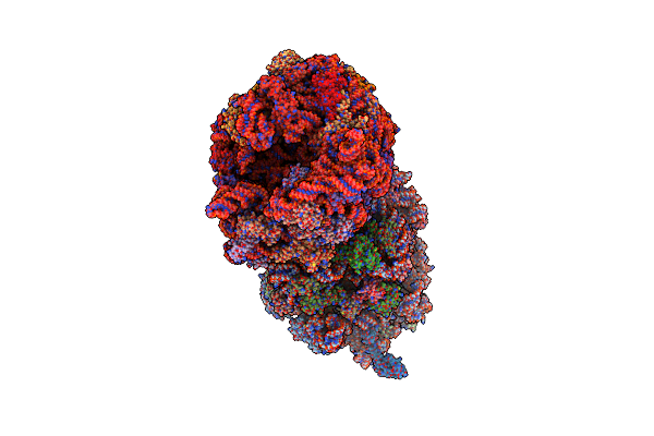 6N1D image