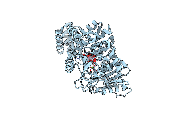 6N1E image