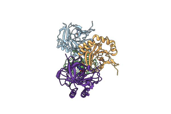 6N1F image