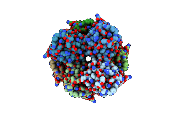 6N1H image