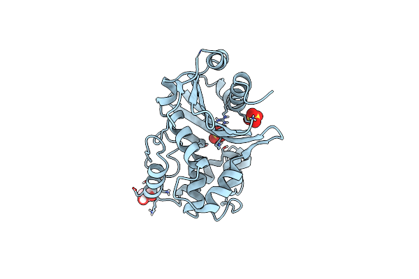 6N1N image