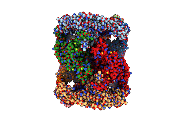 6N1P image