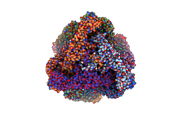 6N1R image