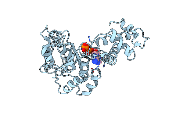 6N2I image