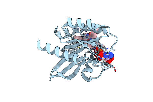 6N2K image