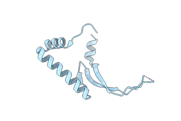 6N2L image