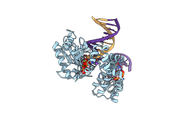 6N2S image
