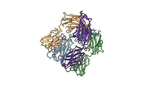 6N2X image