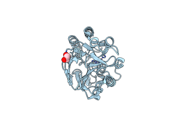 6N36 image