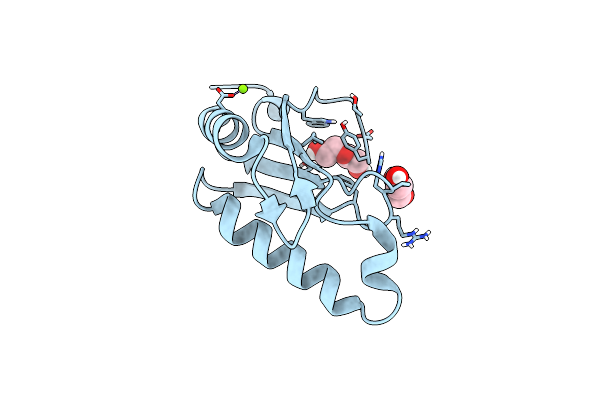6N3D image