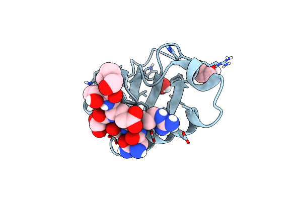 6N3E image