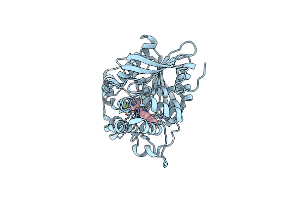 6N3K image