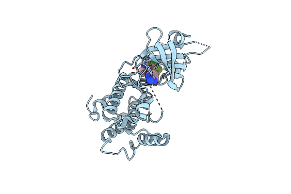 6N3O image