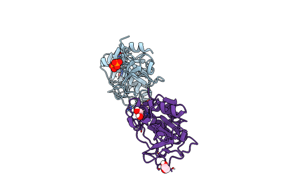 6N3S image