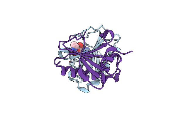 6N3V image