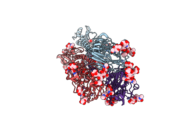6N41 image