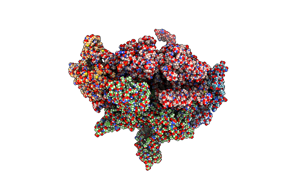 6N4C image