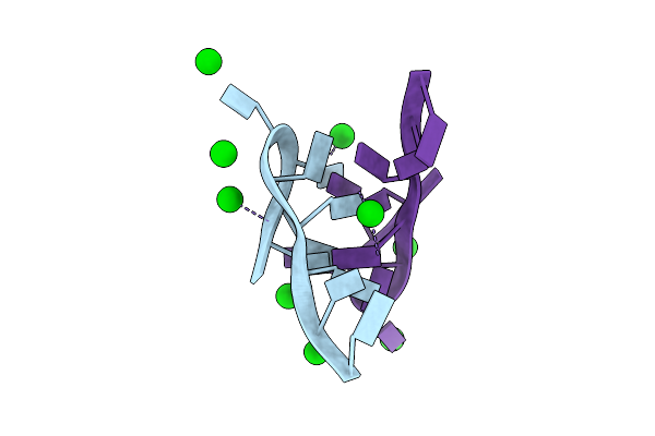 6N4G image