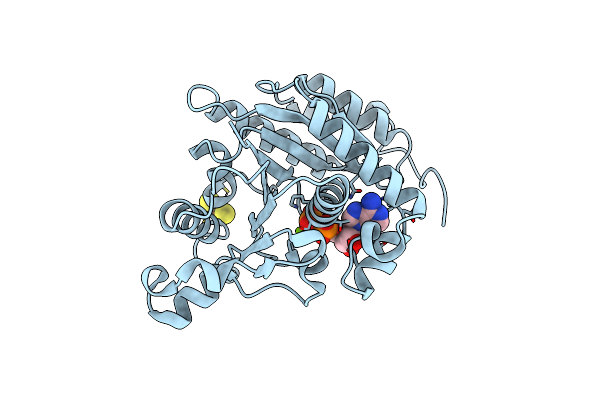 6N4M image