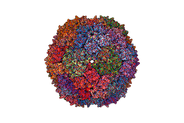 6N4V image