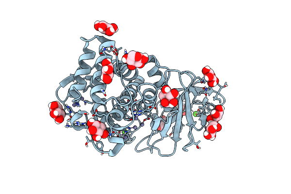 6N4W image